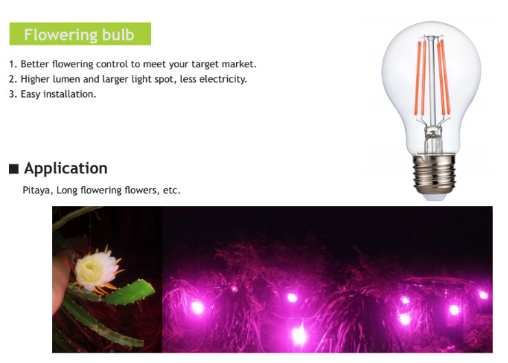 A60 Pink White LED Plant Grow Lights 660nm 8w Filament LED Bulb