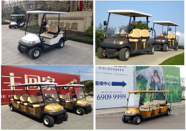 CE Approved 48V Curtis Controller 2 Seater Ezgo Electric Golf Carts Cheap Small Golf Car