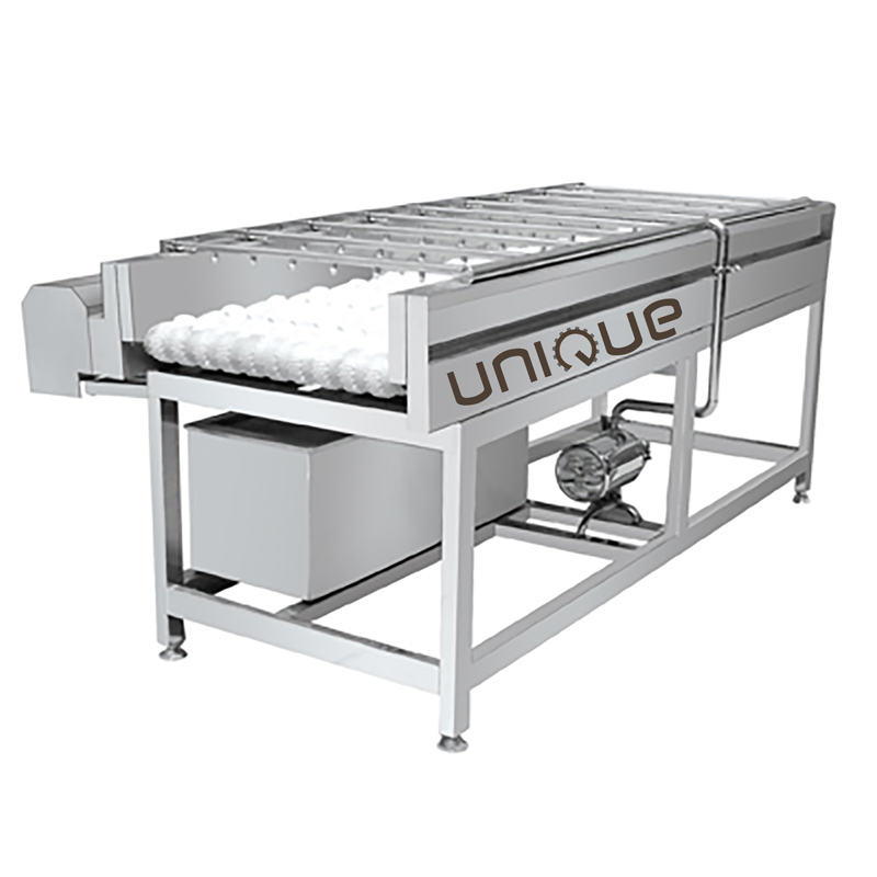 Vegetable Carrot Potato Ginger Brush Roller Washer Machine for Washing and Cleaning