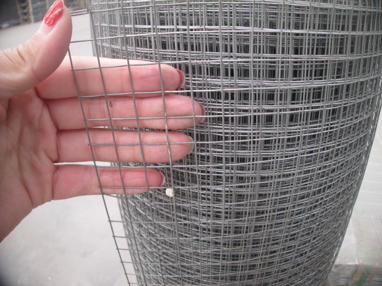 1/2 Inch Square Hole Pvc Coated Welded Wire Mesh For Agriculture