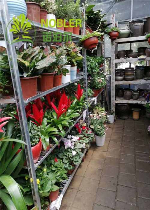 Metal Plate Dutch Flower Trolley Customized For Display