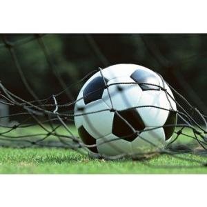 Buy cheap Artificial Grass, Tencate Thiolon Fifa Standard product