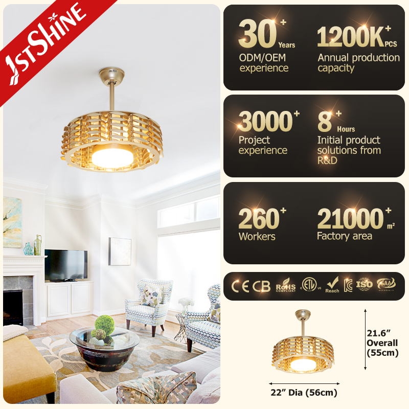 ceiling fan