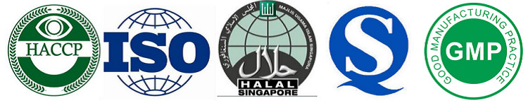 Fresh Cream White Sugar Free Dry Milk Powder HALAL standard