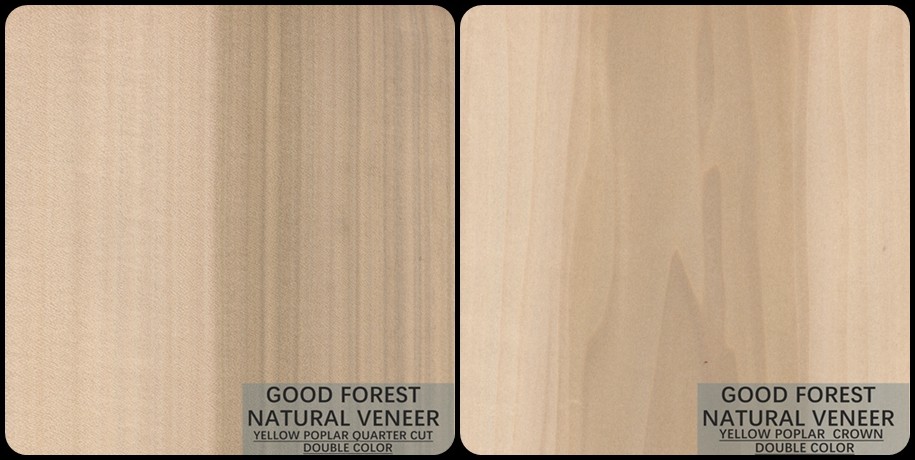 Mappa Tulip Natural Wood Veneer Boxwood Excellent Double Color