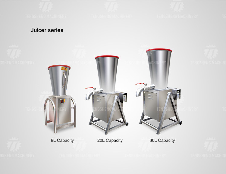 SS Industrial Vegetable Fruit Processing Machine Orange Lemon Juice Extractor