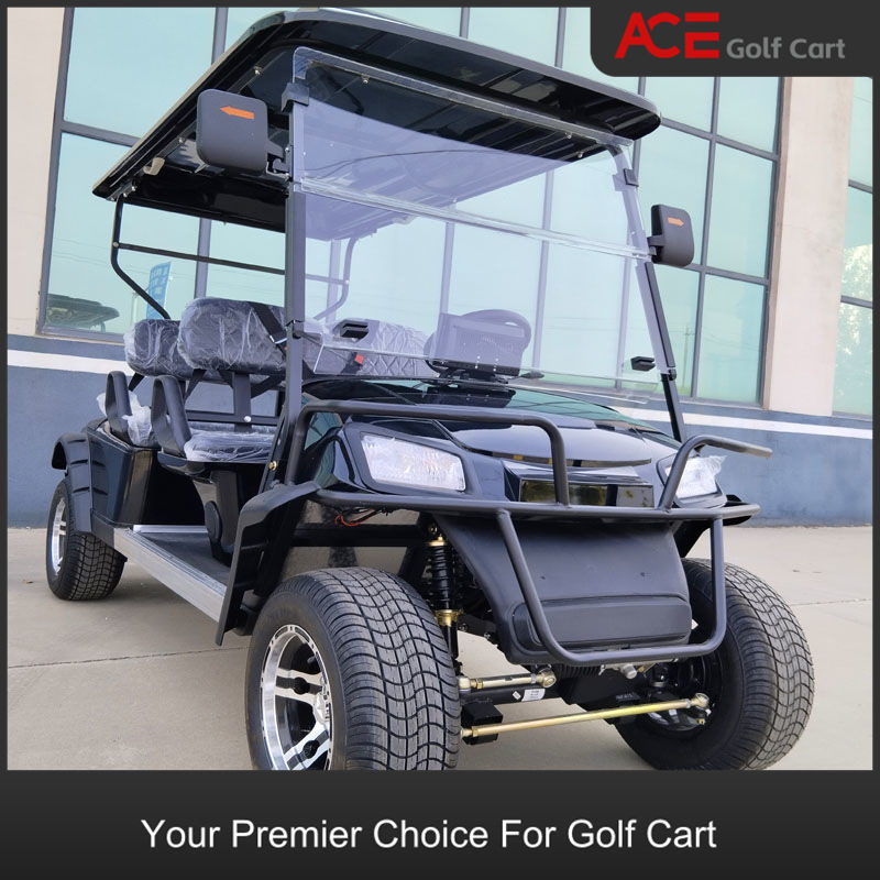Maintenance Free Battery 48V Electric Golf Car Buggy Sightseeing Car