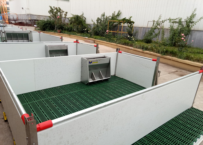Customized Size Pig Farm Equipment Farrowing Crate For Sow / Piglet High Performance