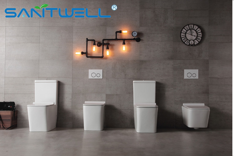 Ceramic Wall Mounted WC two piece toilet with australian standard