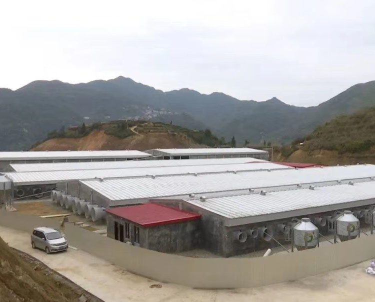 Economical Steel Frame Storage Building Custom Steel Structure Prefab Workshop