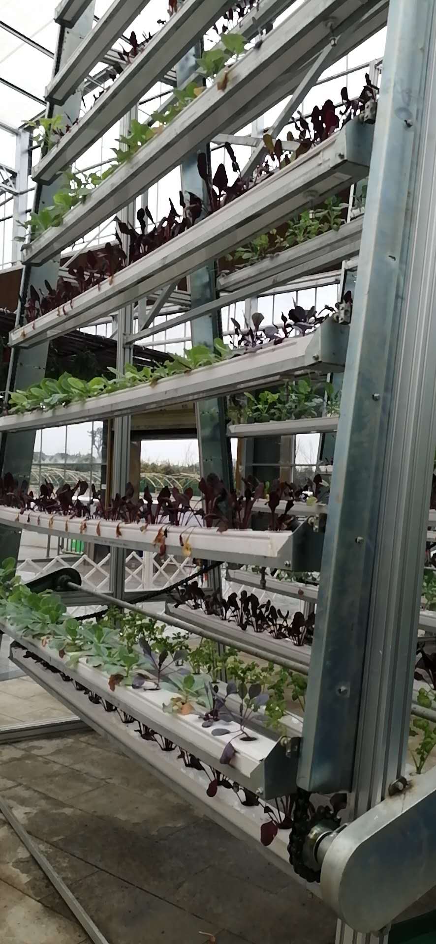 Irrigation And Hydroponics Equipment Hydroponic Growing Systems