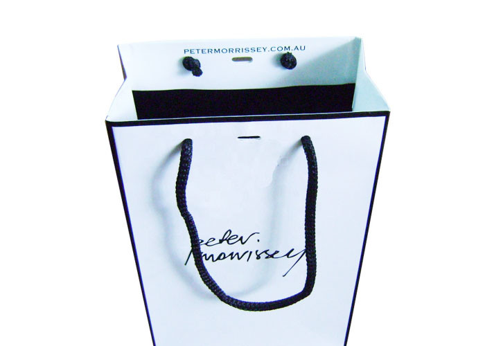 Eco - Friendly Paper Shopping Bags For Advertising / Promotion / Gift