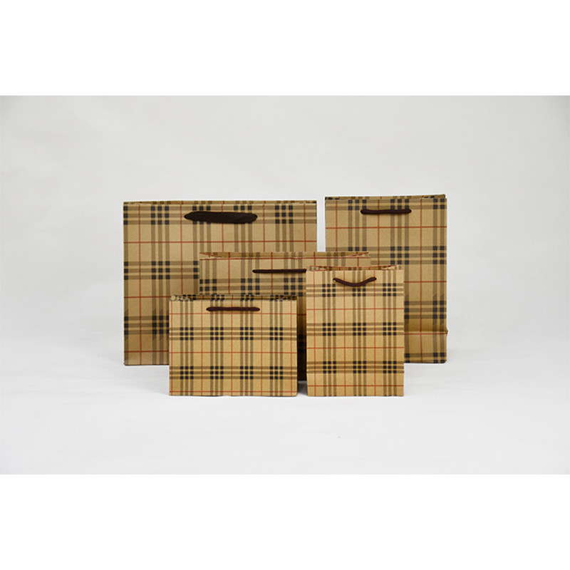 5Kg Weight Capacity Kraft Shopping Paper Bags Eco Friendly Packaging Recycled