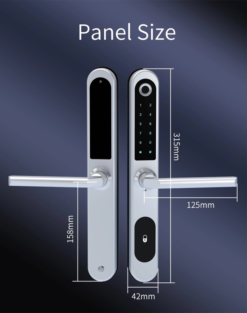 Keyless Digital WiFi Tuya APP Fingerprint Aluminum Door Lock