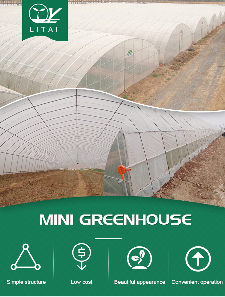 Mini Greenhouse Galvanized Garden Greenhouses for Commercial Vegetable Growing