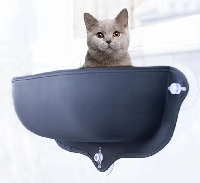 small cat hammock