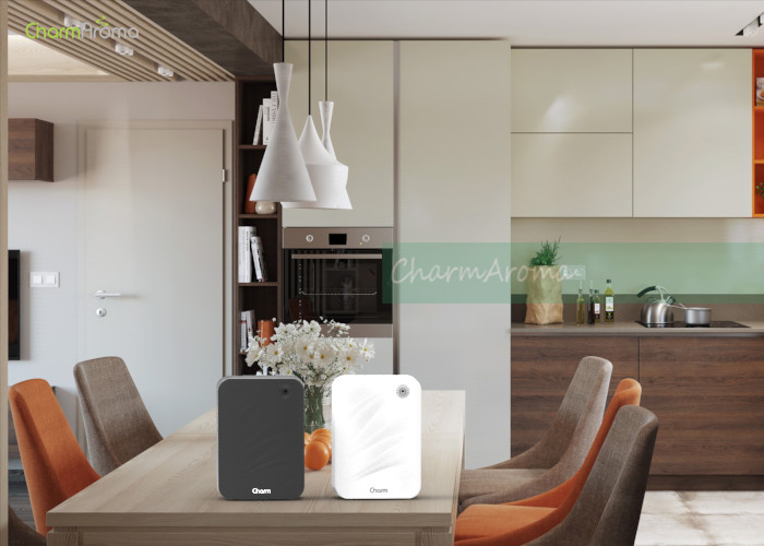 Energy Saving Home Air Conditioner Fragrance Inner Fan Smart Program