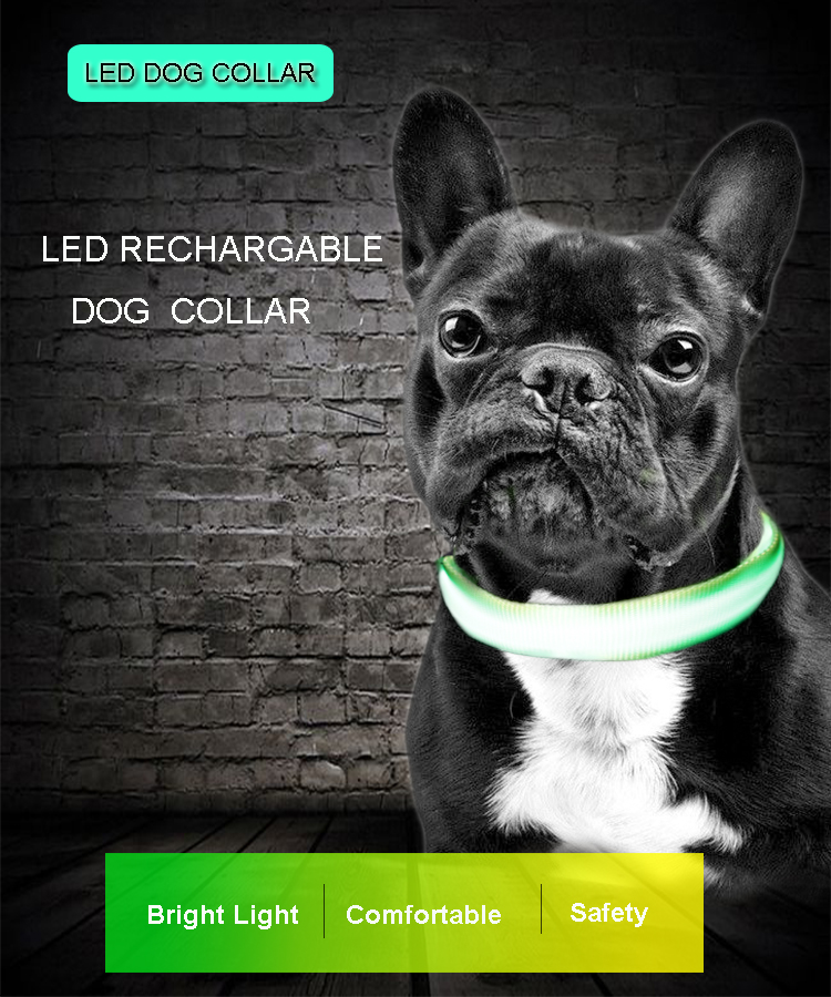 Customized LED USB Rechargeable Pet Dog Collar With Buckles Nylon Webbing
