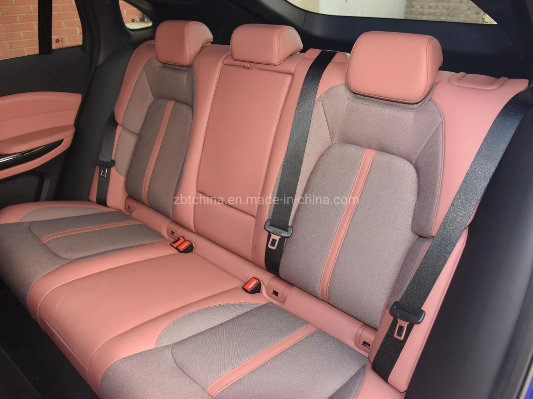 Green Evs Air Purifier Ec6 Sport Performance SUV Nappa Aviation Cockpit Nio Pure Electric Car with Panoramic Sunroof