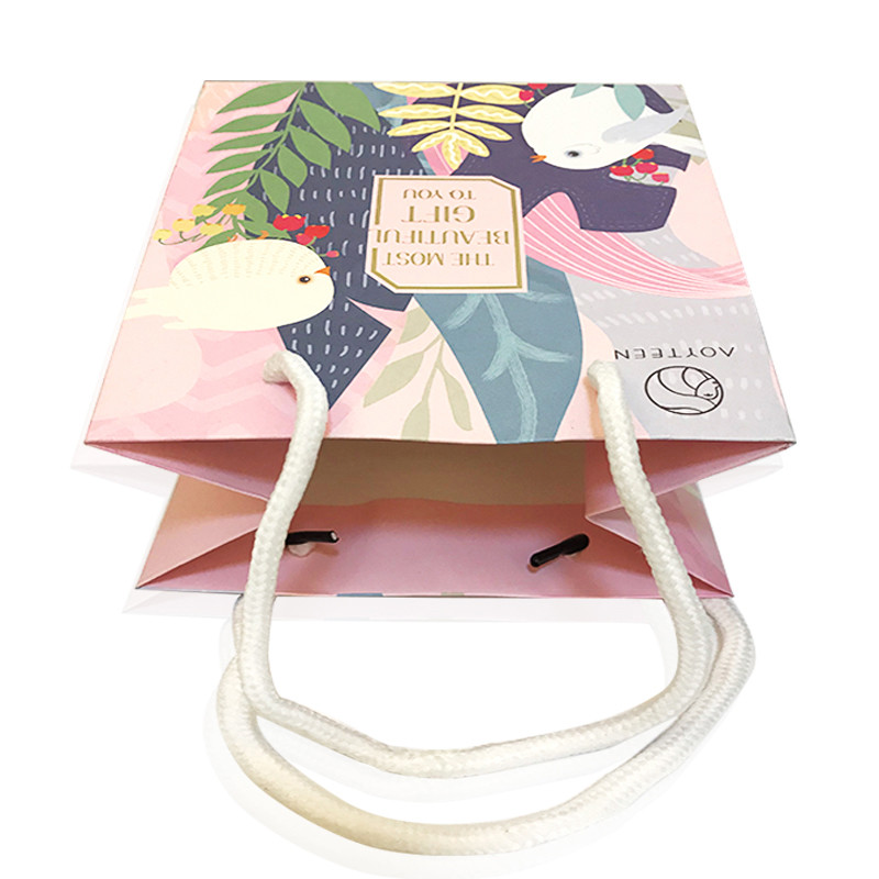 Pink Underwear Paper Shopping Bags With Handles Matt Lamination