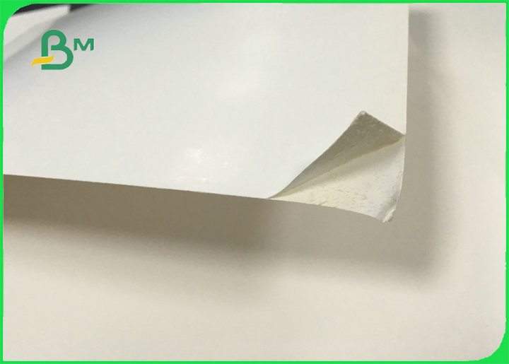 270gsm 280gsm One Side Coated FBB GC1 Ivory Board Sheet FSC Certificate