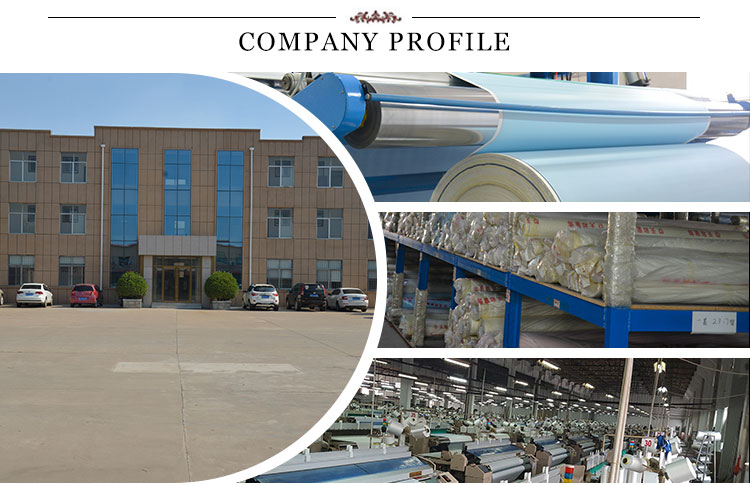 Roller blinds manufacturer/The Newest Printed roller blinds fabric beauty fashion digital printing roller blinds fabric
