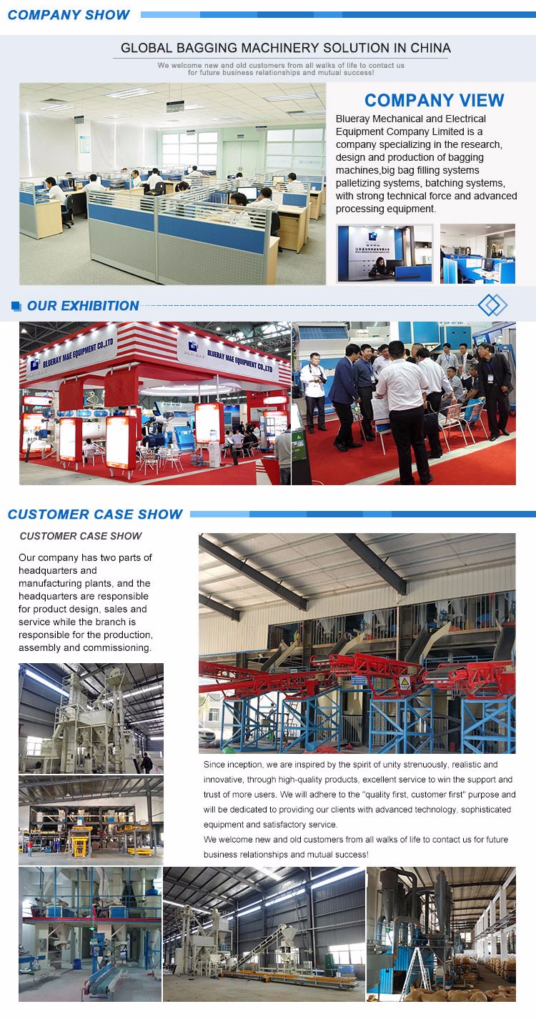 DCS-50WF Powder 25kg Bagging Machine For Maize Flour