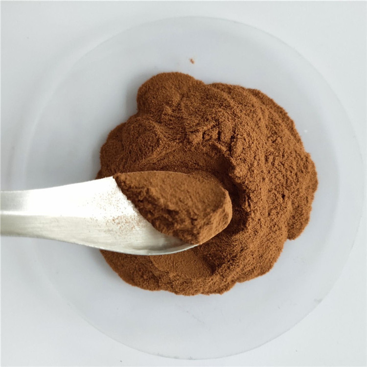 Anti Cancer Papaya Seed Extract Powder In Bulk