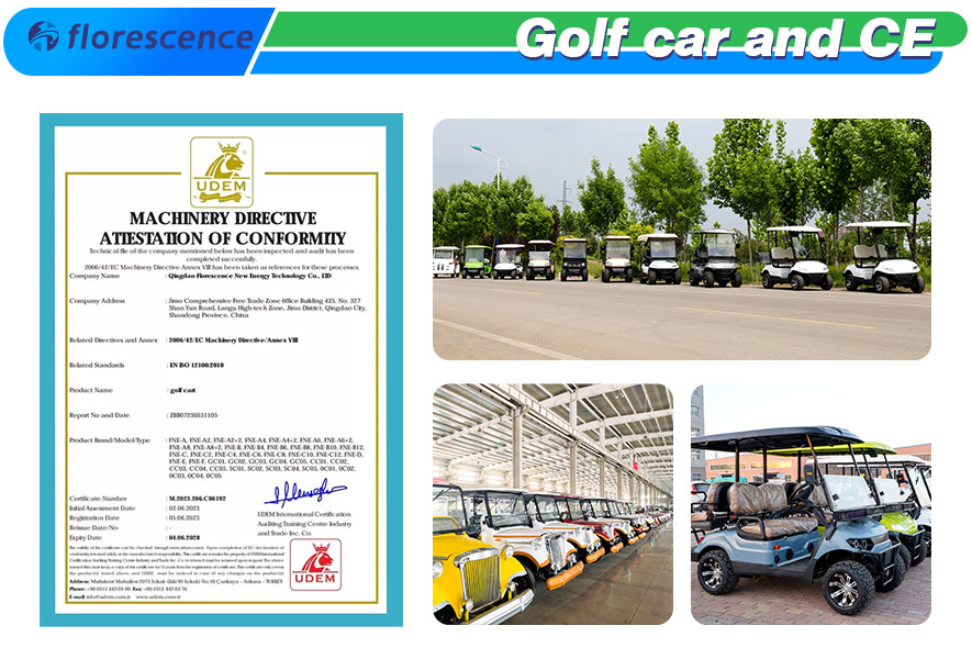 Buggy Off Road 4 Wheel Electric Golf Cart 2+2 Seater Car 4 Passengers Cusp Battery