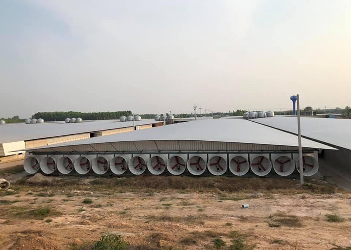 2.5 - 30 Tons Silo Piggery Farm Equipment Swine Breeding Equipment ISO9001