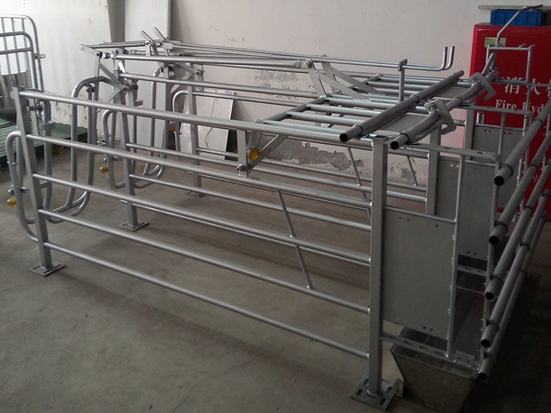 Power Coated Finishing Pig Gestation Crates With Stainless Steel Feeder