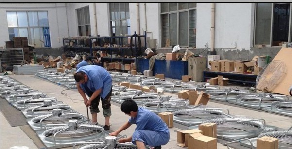 hot dip galvanized industrialexhaust fan ventilation for pig cow farm