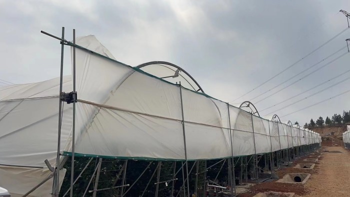 Uv Resistant Polyethylene Berry Hoop Film Greenhouse With Door Keep Warm Growing Strawberry Blueberry