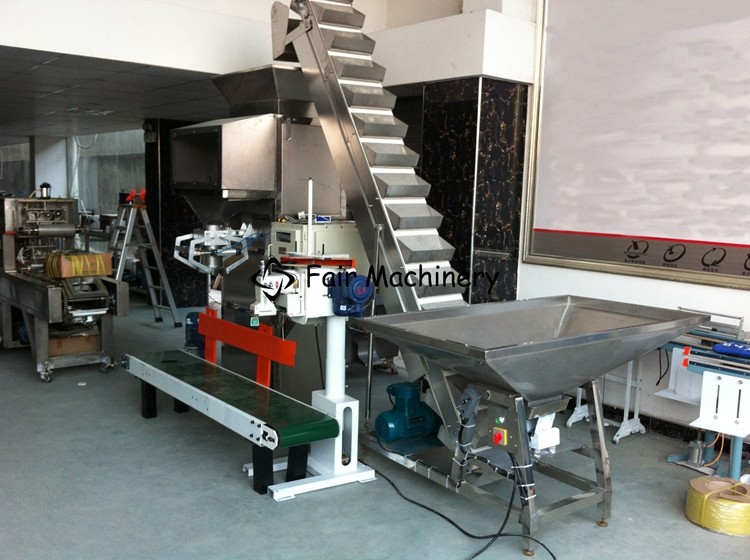 380VAC 50Hz Granules Packing Machine for Premade Bag 0.6mpa
