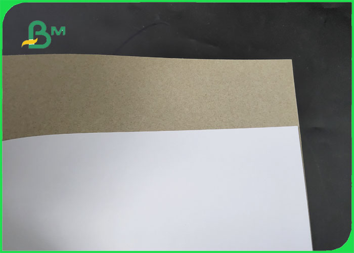 FSC 250 / 300 / 400gsm C1S Grey Back Glossy Side  With White 1mm 2mm 3mm