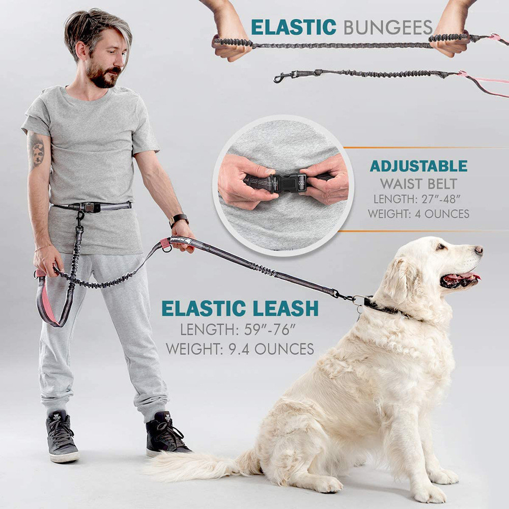 Pet Reflective Two Hand Handle Leash Hands Free Outdoor Portable Running Dog Leash