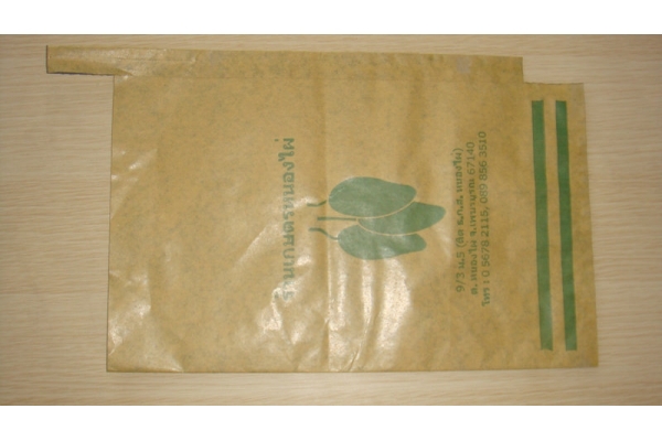 Mango protect bag 13 years factory