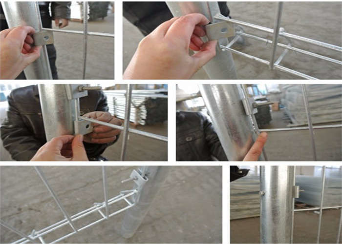 Q235 Hot Dipped Galvanized Welded Wire Mesh Fence Carbon Steel Wire Mesh