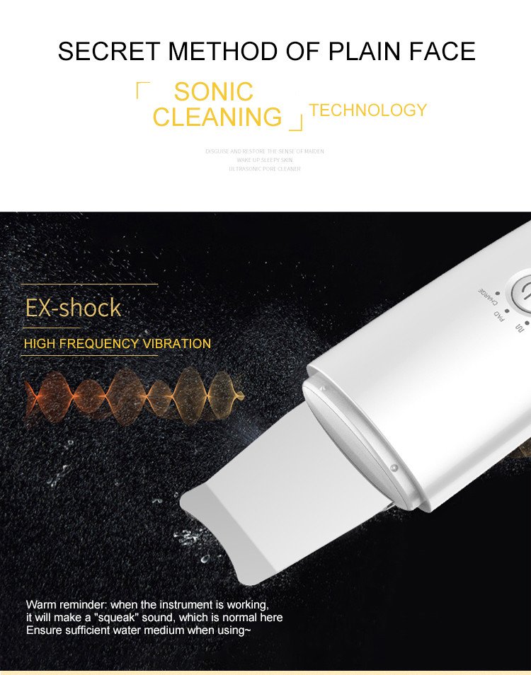 FCC Skin Whitening Rejuvenation Ultrasonic Skin Scrubber