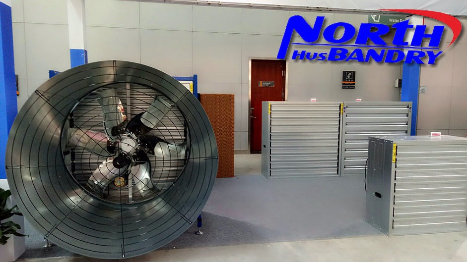 Cina knalpot industri besar kipas, industri Air Blower