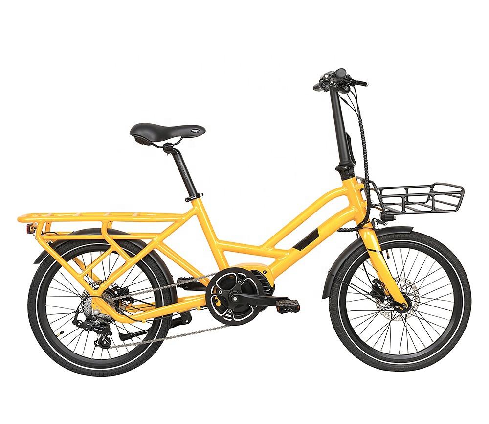 20 Inch Retro Dual 250W Electric Cargo Bike 7 Speed 36V 7.8Ah Lithium Battery