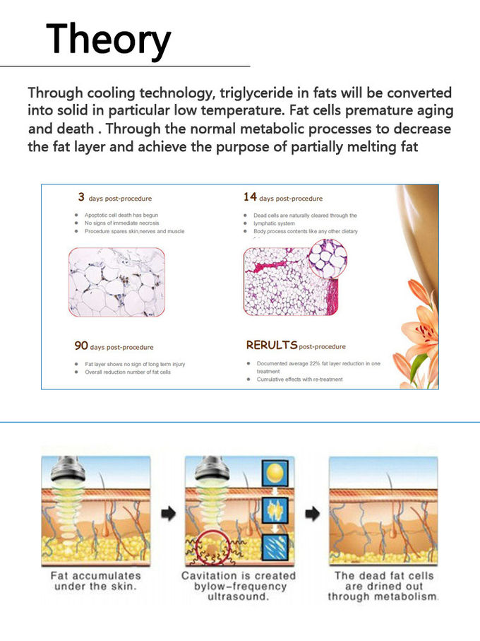 Hot Selling instrument! hotsale portable cryo cavitation rf cryolipolysis slimming machine