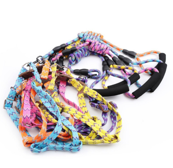 puppy harness and lead set
