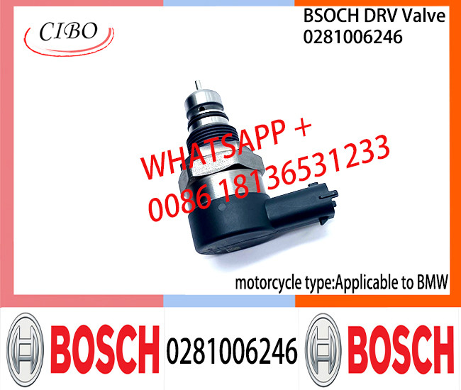 BOSCH DRV Valve 0281006246 Control Valve 0281006246 Applicable to BMW