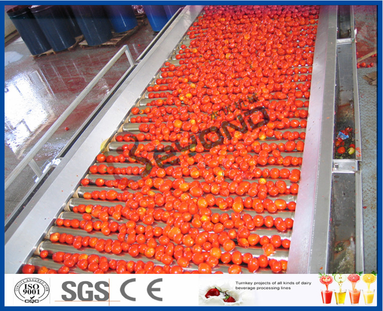 200KW Power Tomato Ketchup Machine Tomato Processing Machine 304 Stainless Steel Material