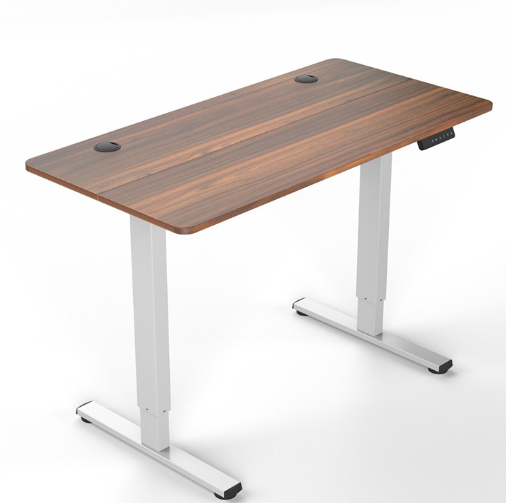 Single Motor Electric Height Adjustable Computer Desk for Home Office DIY Workbench