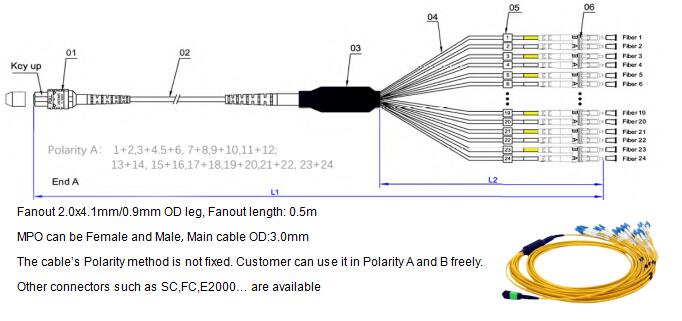24 Fibers MPO to LC OM4 Fiber Optic MPO-LC 2.0mm Straight harness Cables