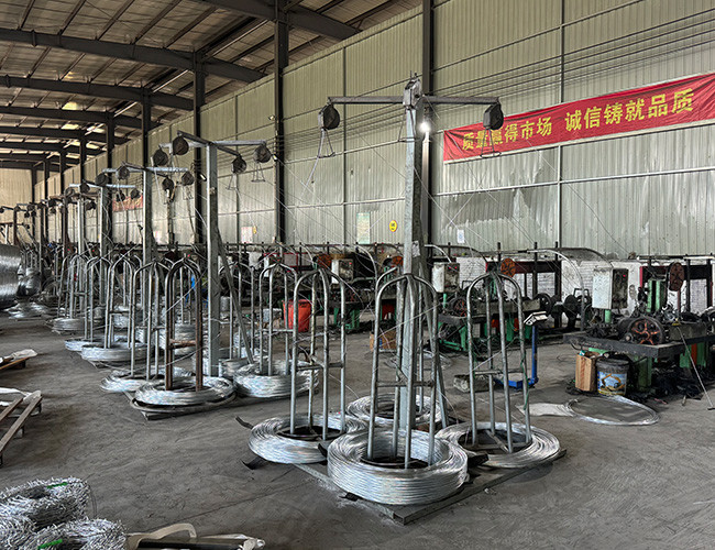 Electro-Galvanized Security Barbed Wire For Isolating And Protecting