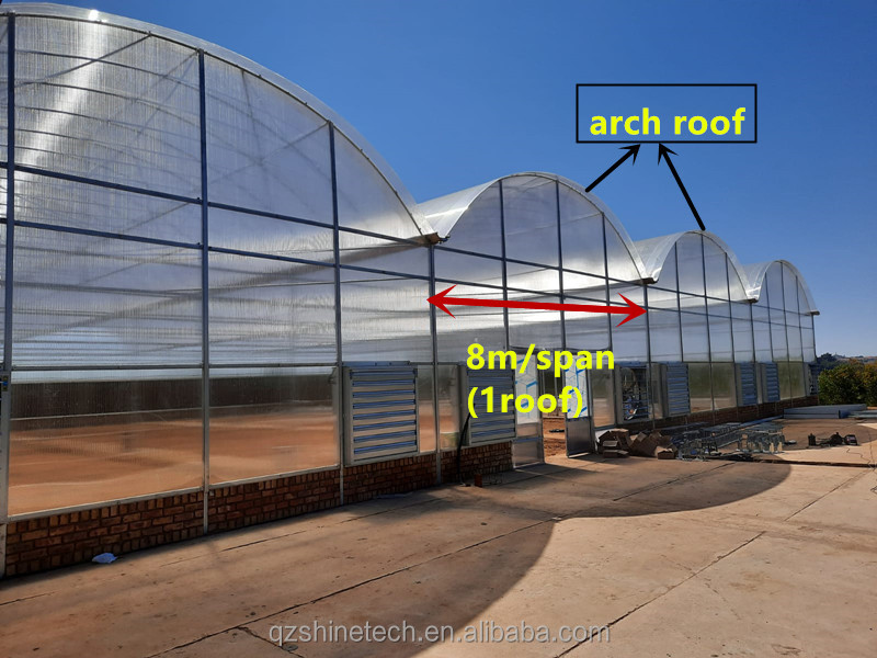 PC Plastic Polycarbonate Sheet Multi Span Hydroponic Greenhouse