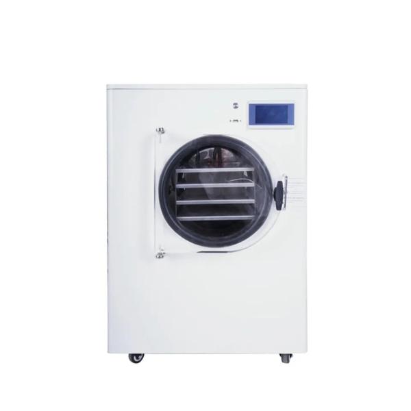 Home lyophilization homemade food freeze dryer household vacuum pump freeze